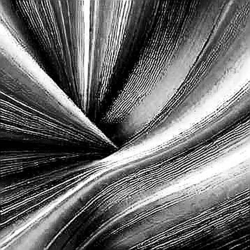 The $0.10 Regret: Why Ripple's CTO Just Gave the SEC Its Best Argument