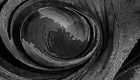 The Ghost in the Institutional Chain: JPMorgan’s Warning Is a Trojan Horse The Ghost in the Institutional Chain: JPMorgan’s Warning Is a Trojan Horse
