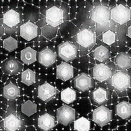 The Wire and the Void: Deconstructing the Bitcoin Short Squeeze Beyond the Price Feed
