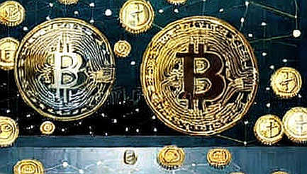 Blockchain's Analysis Vacuum: Parsing Meta-Instructions Reveals the True Cost of Empty Narratives