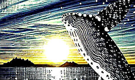 The Energy Ceiling: Why AI's Next Bottleneck Isn't Chips—It's the Grid
